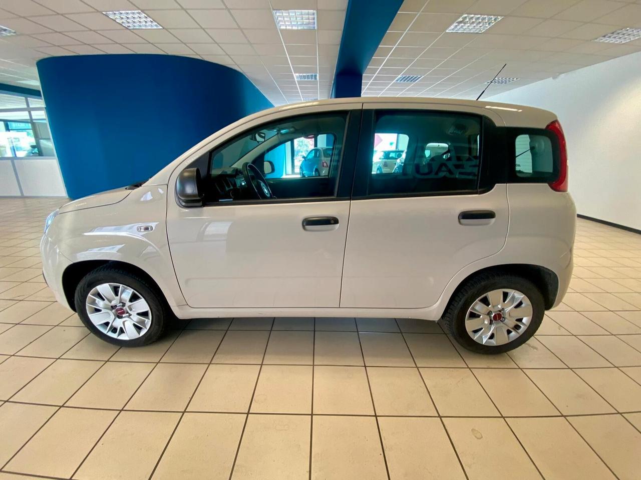 Fiat Panda 1.2 Easy UNICO PROPRIETARIO 34000KM