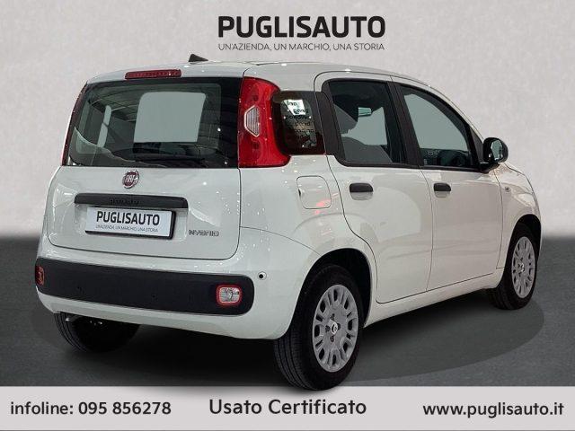 FIAT Pandina 1.0 FireFly 65 CV Hybrid Pop