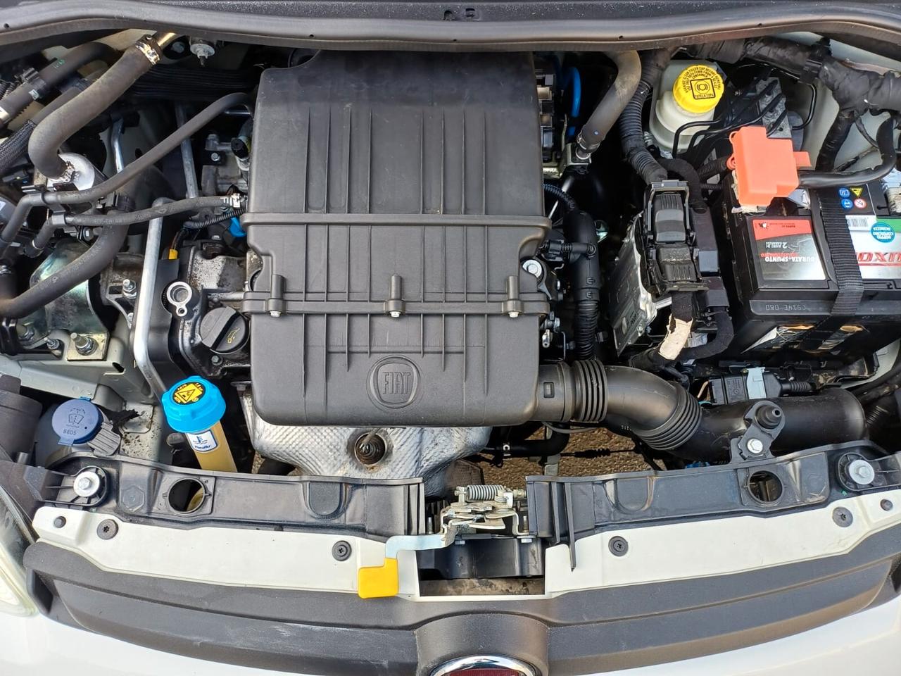 Fiat Panda GPL DI SERIE Perfetta - 2017