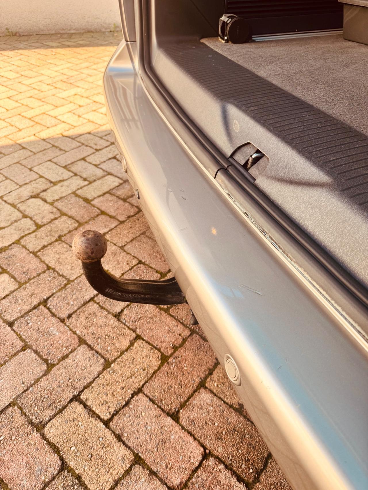 Multivan per trasporto e guida Disabili