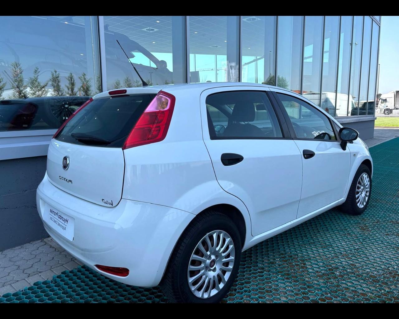 FIAT Punto 2012 Benzina - Punto 1.2 Street 5p E6