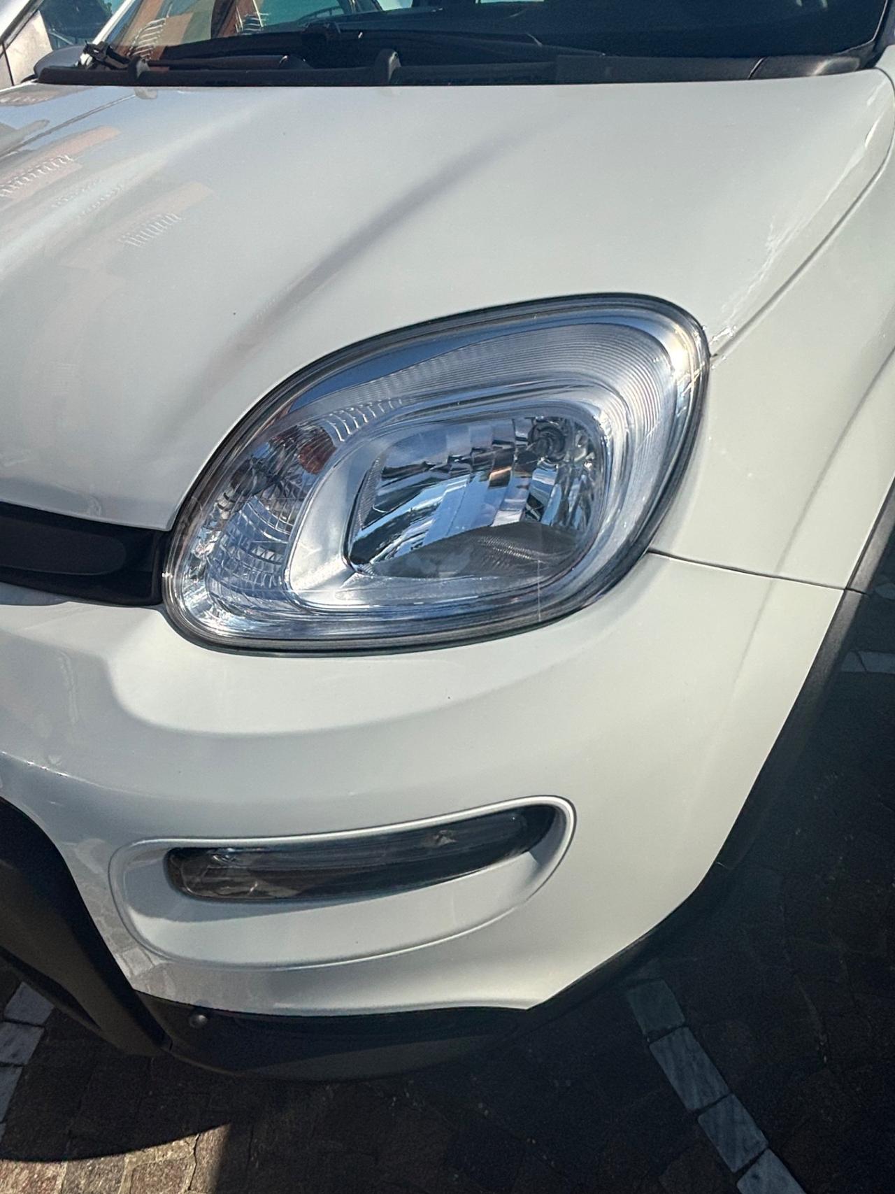 Fiat Panda 1.0 FireFly S&S Hybrid
