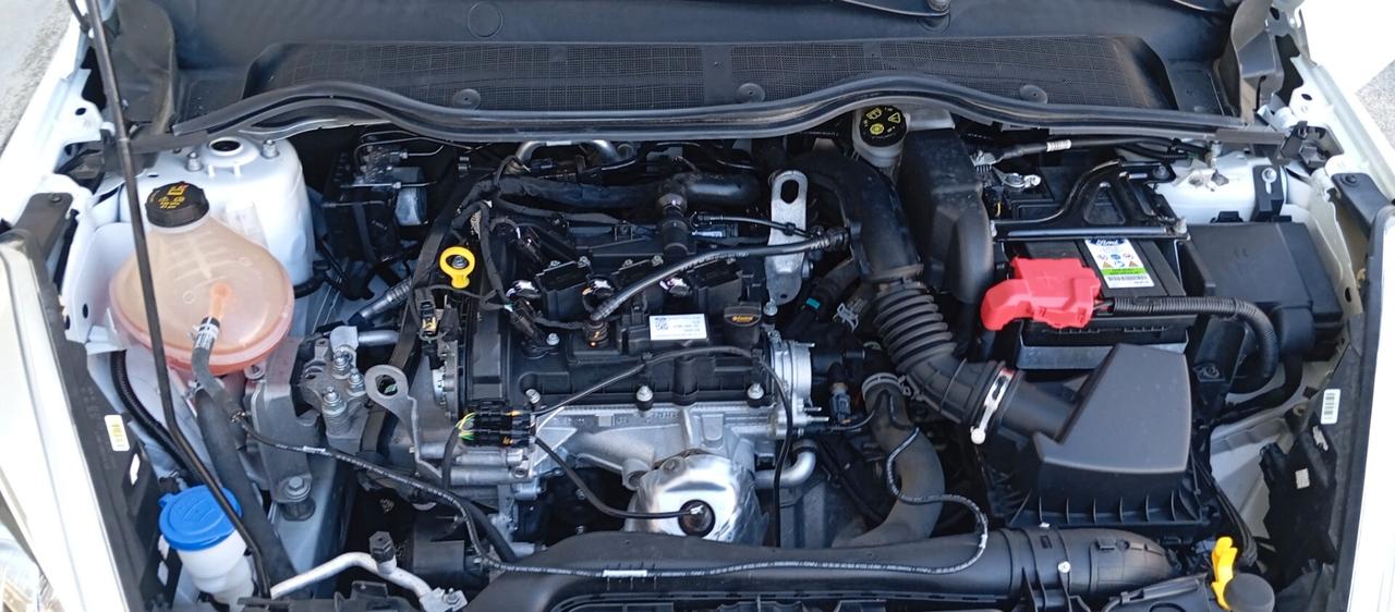 Ford Fiesta 1.1i 75 CV Business-Garanzia