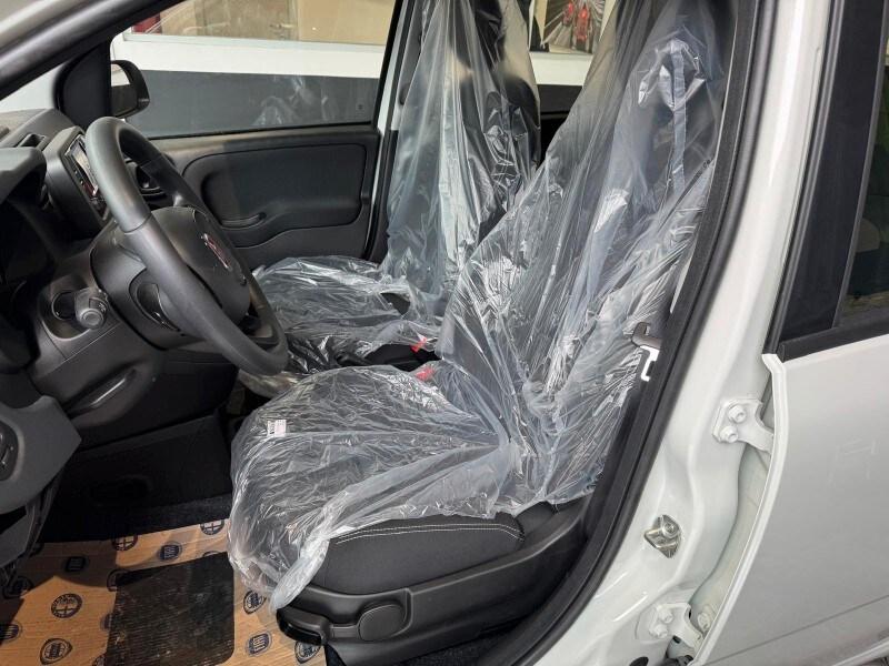 FIAT Panda 3ª serie Panda 1.0 FireFly S&S Hybrid
