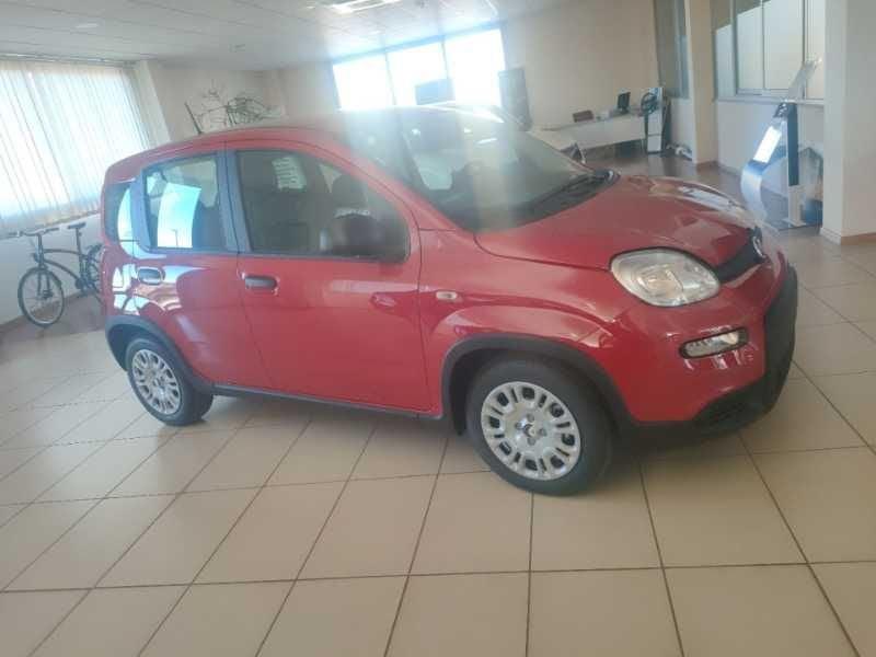 FIAT Panda NEW 1.0 70cv Hybrid Panda