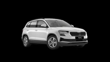 Skoda Karoq 2.0 tdi evo Executive 150cv dsg
