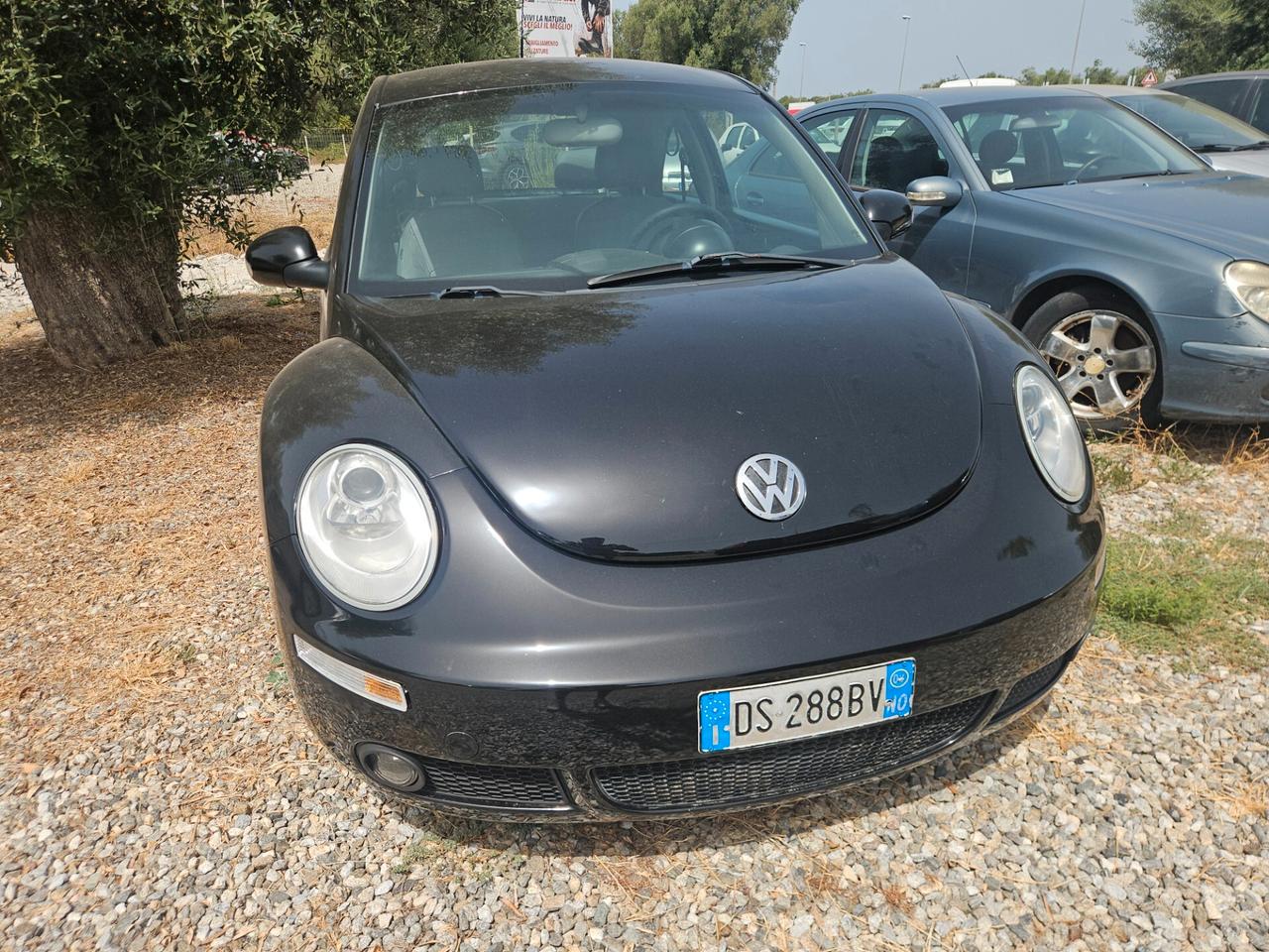 Volkswagen New Beetle 1.9 TDI 105CV