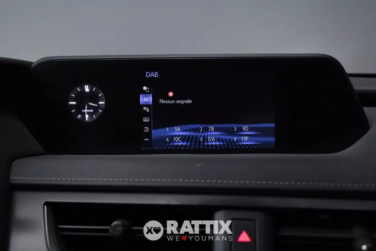 Lexus UX 250h 2.0 Hybrid Executive CVT 4WD
