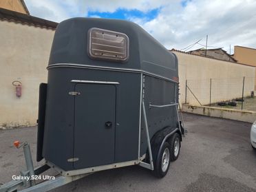 Damon Domino Trailer 2 posti cavalli