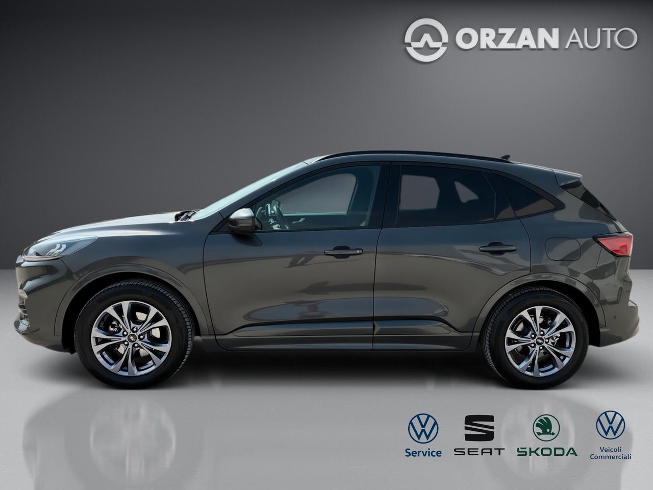 Ford Kuga 2.0 EcoBlue 190 CV aut. AWD ST-Line X DIRETTO VENDITE: CELL VENDITE 3491558563 - 3478673115