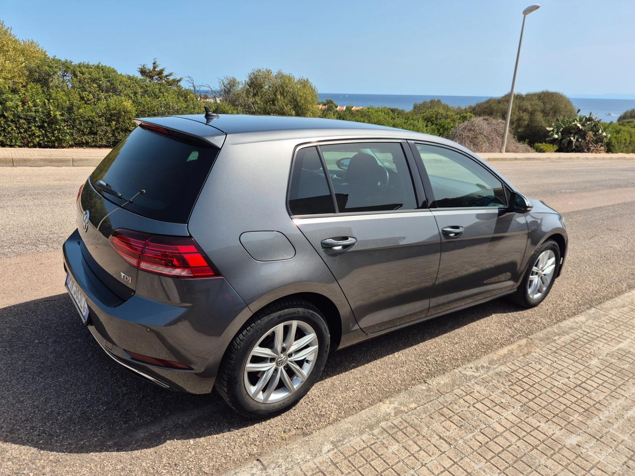 Volkswagen Golf 1.6 TDI 115 CV 5p. Business BlueMotion Technology