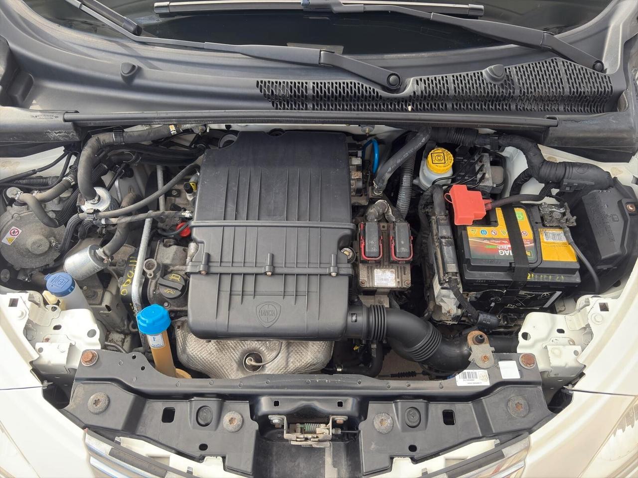 Lancia Ypsilon 1.2 69cv GPL Elefantino Rosa