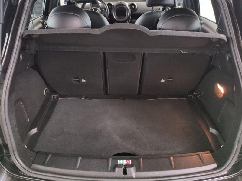 MINI Countryman Mini Countryman 2.0 Cooper D All4 all4 auto