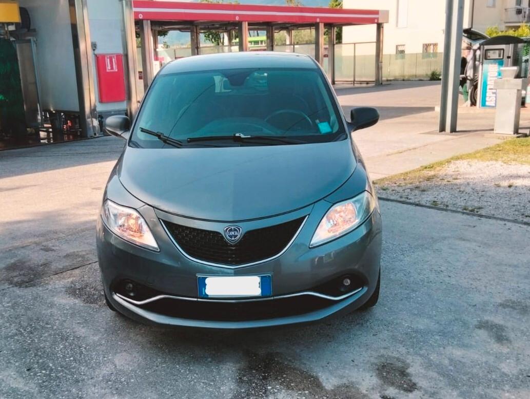 Lancia Ypsilon 1.2 69 CV 5 porte Gold 2019 NEOPATENTATI