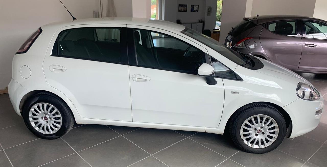 Fiat Punto 1.3 MJT II 75 CV 5 porte Street