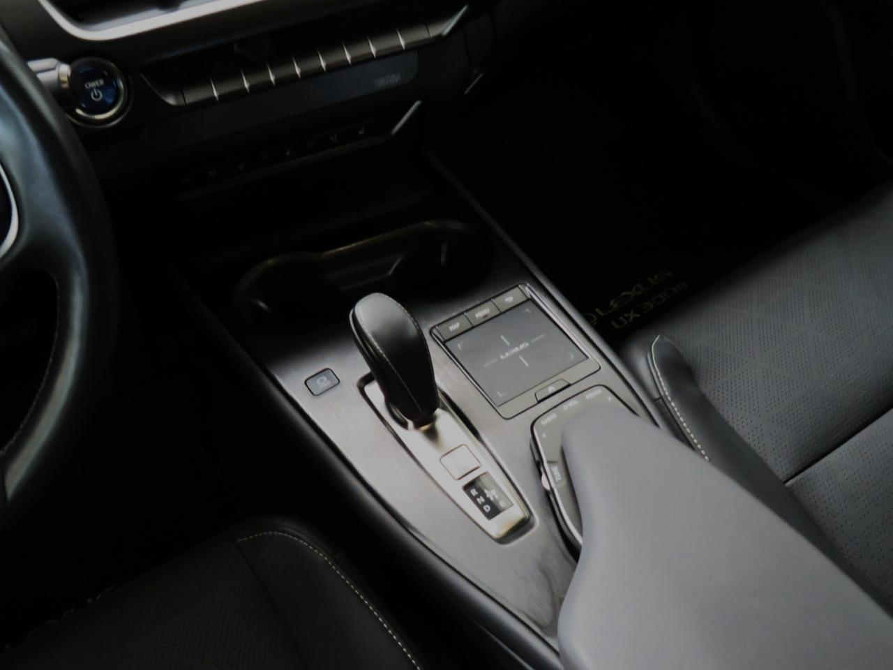 Lexus UX Full Electric Premium Fleet | iva 22% inclusa