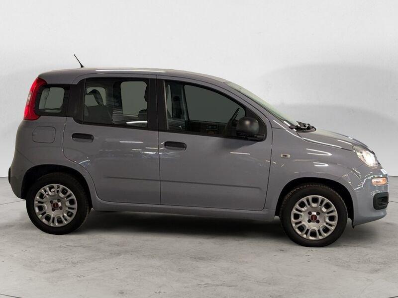 FIAT Panda 1.2 69cv E6 Easy