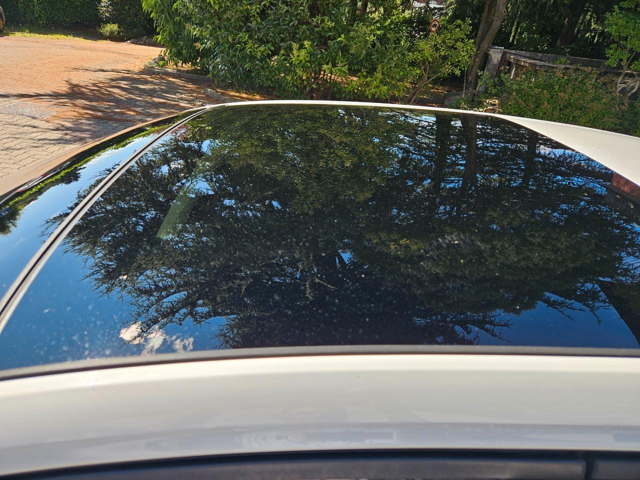 Volkswagen Polo 2.0 TSI DSG GTI - TETTO