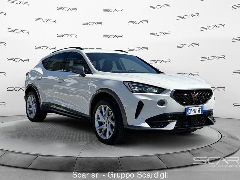 Cupra Formentor 2.0 TSI 4Drive DSG