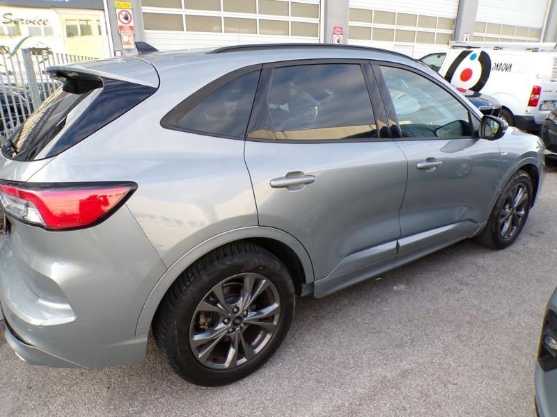 Ford Kuga 1.5 EcoBlue 120 CV 2WD ST-Line