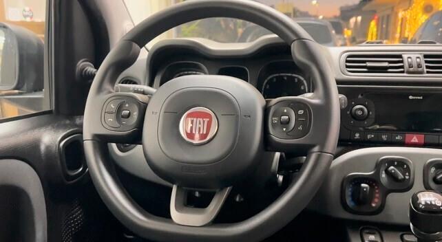 FIAT PANDA IBRIDA 2022 - Cc 1.0 - Cv 69