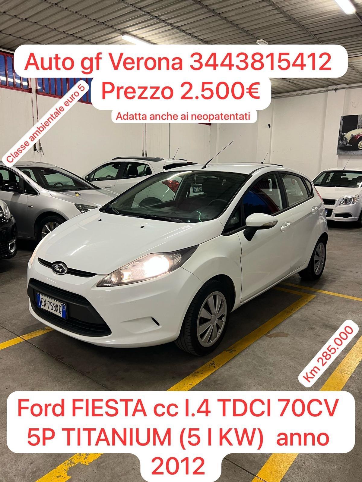 Ford Fiesta 1.4 TDCi 70CV 5 porte Titanium