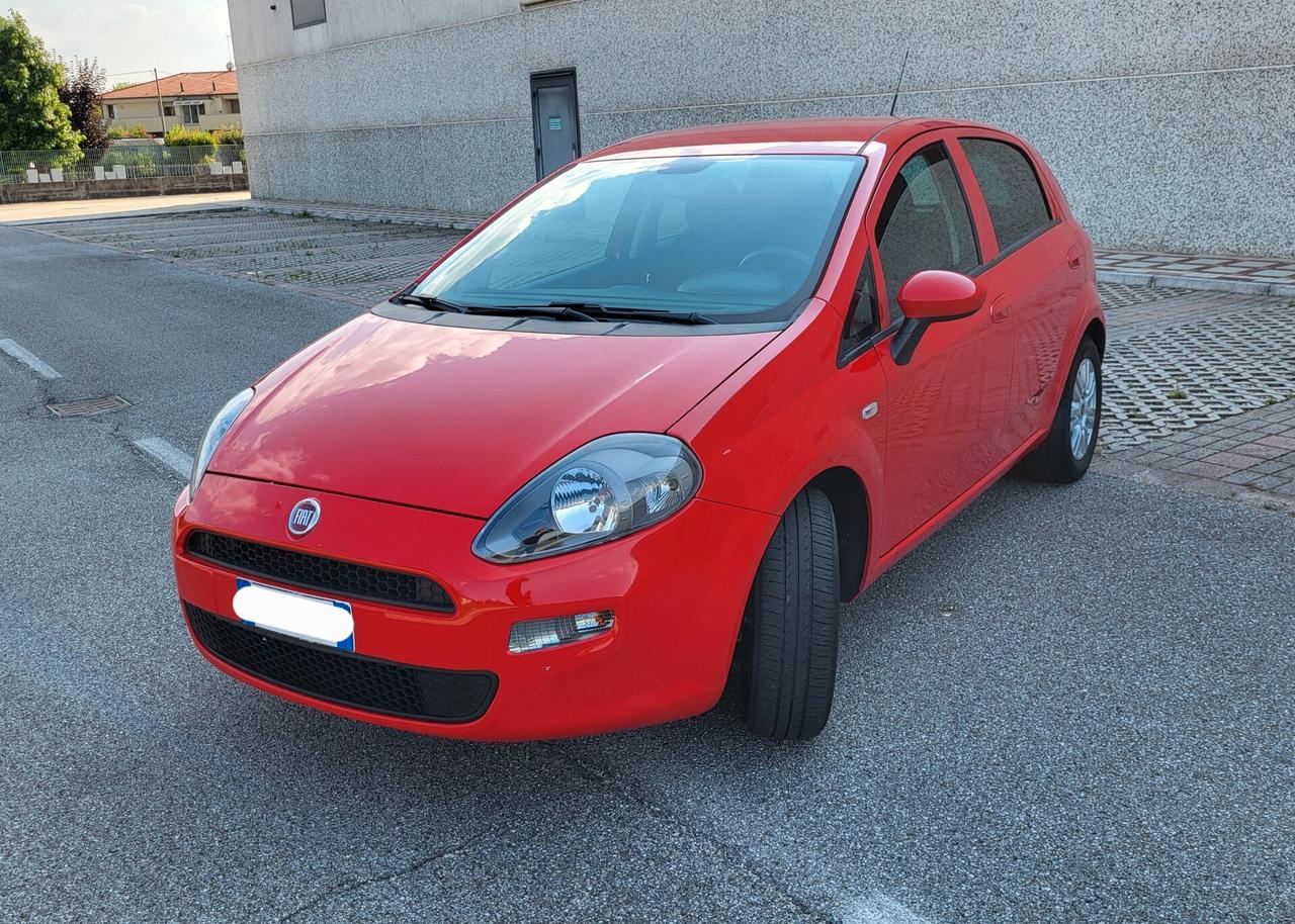 Fiat Punto 1.2 8V 5 porte Street