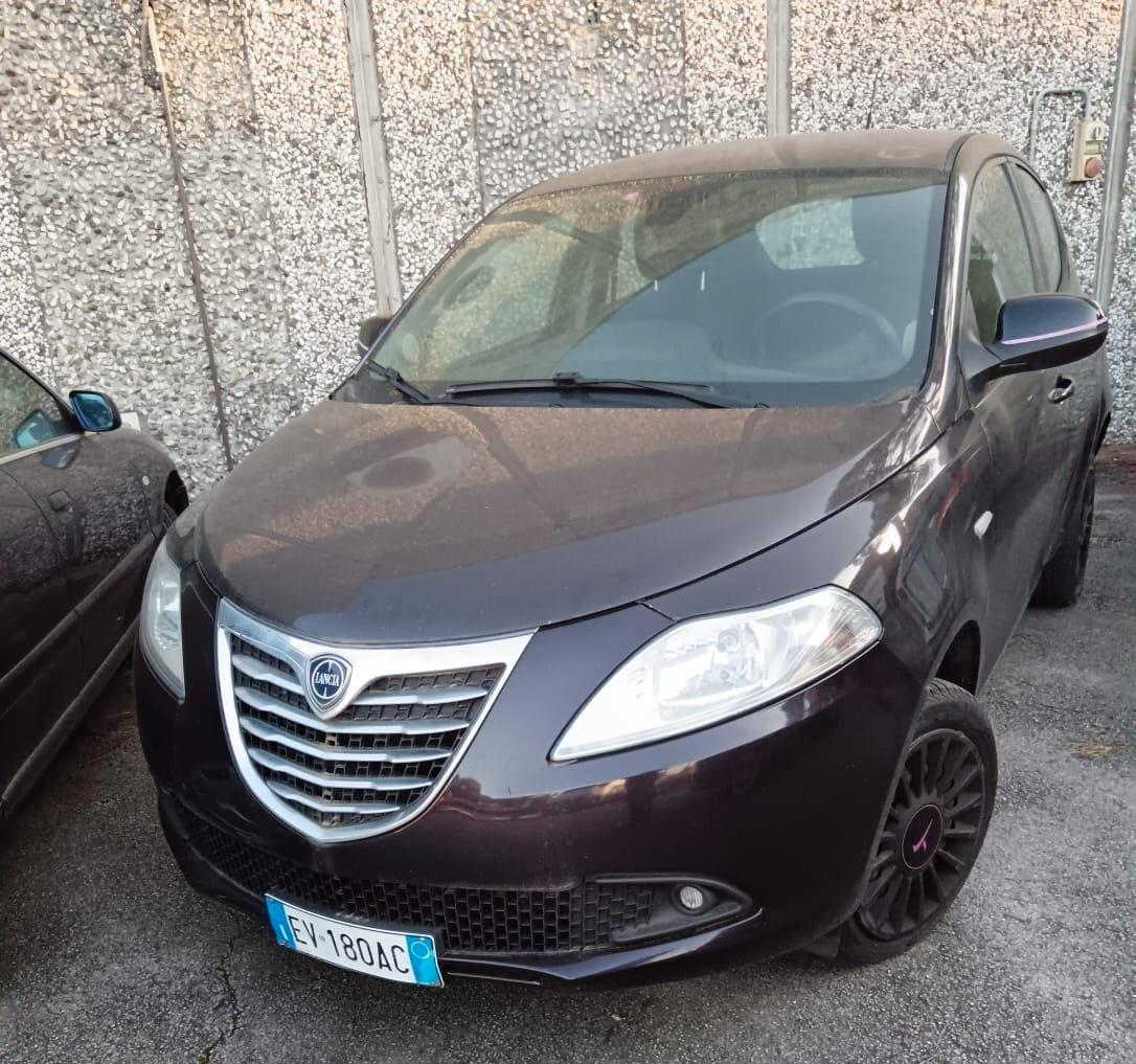 Lancia Ypsilon 1.2 69 CV 5 porte GPL Ecochic Elefantino