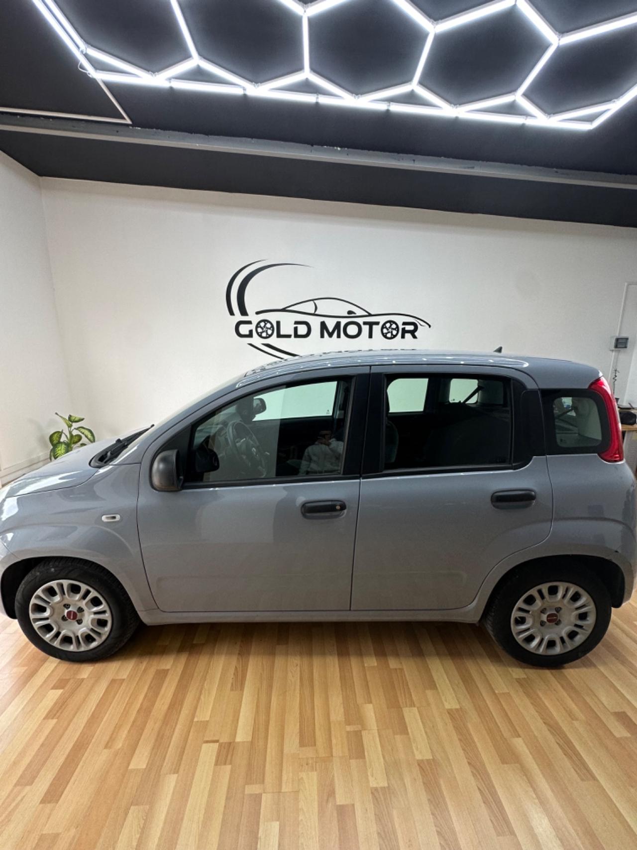 Fiat Panda 1.0 GSE S&S Hybrid Street Van 4 posti