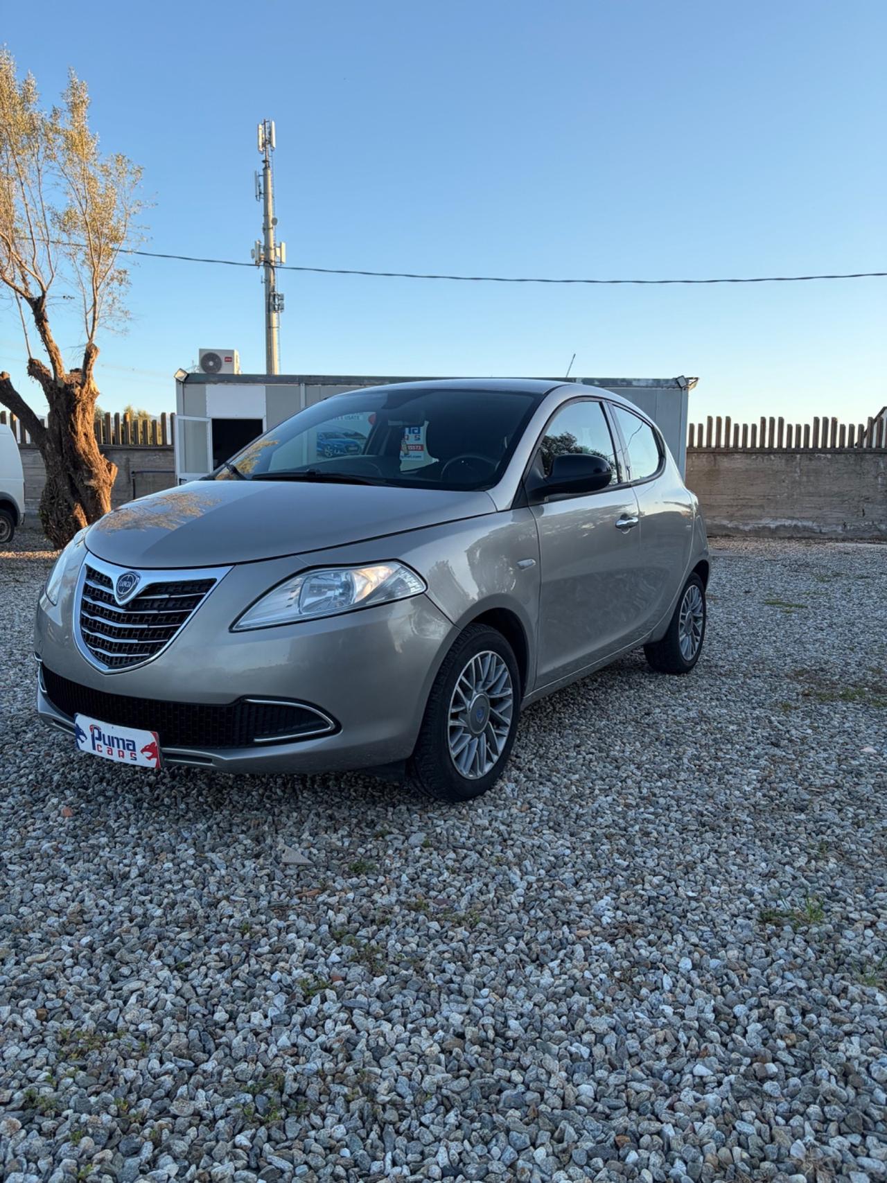 Lancia Ypsilon 0.9 TwinAir 85 CV 5 porte S&S DFN Platinum