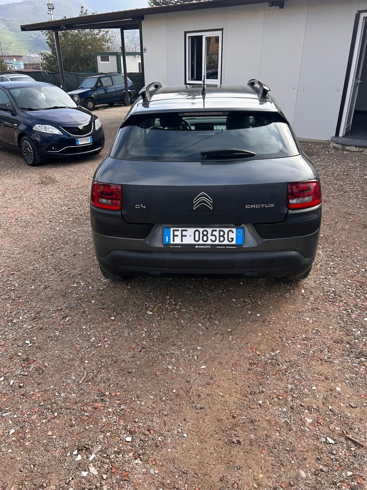 Citroen C4 Cactus BlueHDi 100 S&S ETG6 Shine