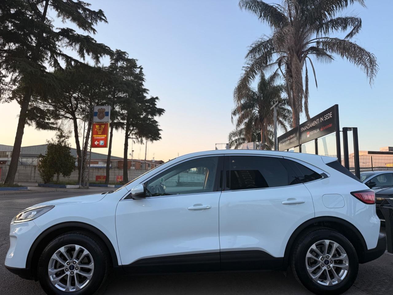 Ford Kuga 1.5 EcoBlue 120 CV 2WD Titanium
