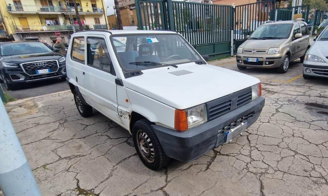 Fiat Panda 900 i.e. cat Young