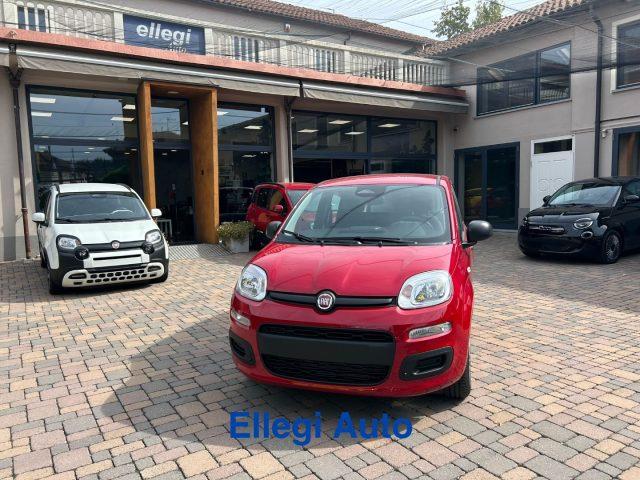 FIAT Pandina PROMO FINANZIAM 1.0 FireFly 65 CV Hybrid Pop KM 0