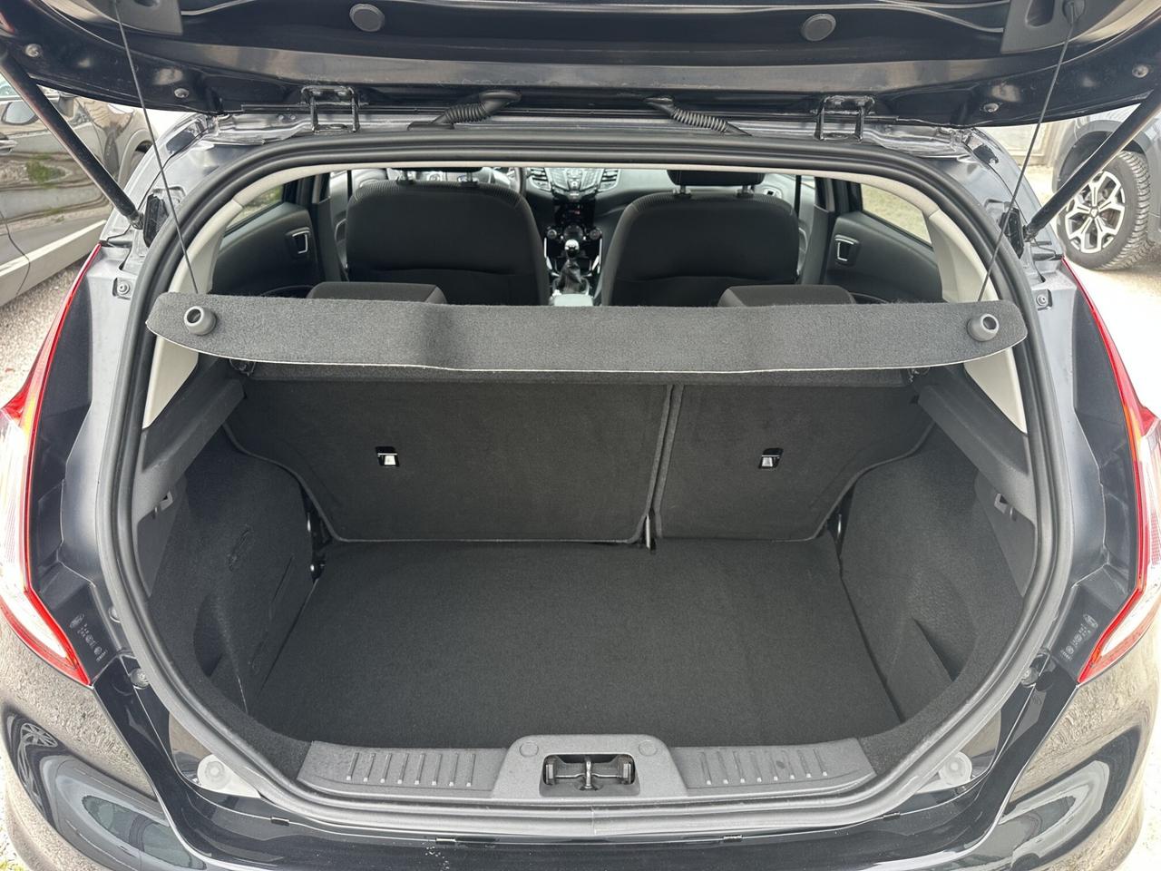 Ford Fiesta 1.4 GPL 95 Cv 2016 Titanium