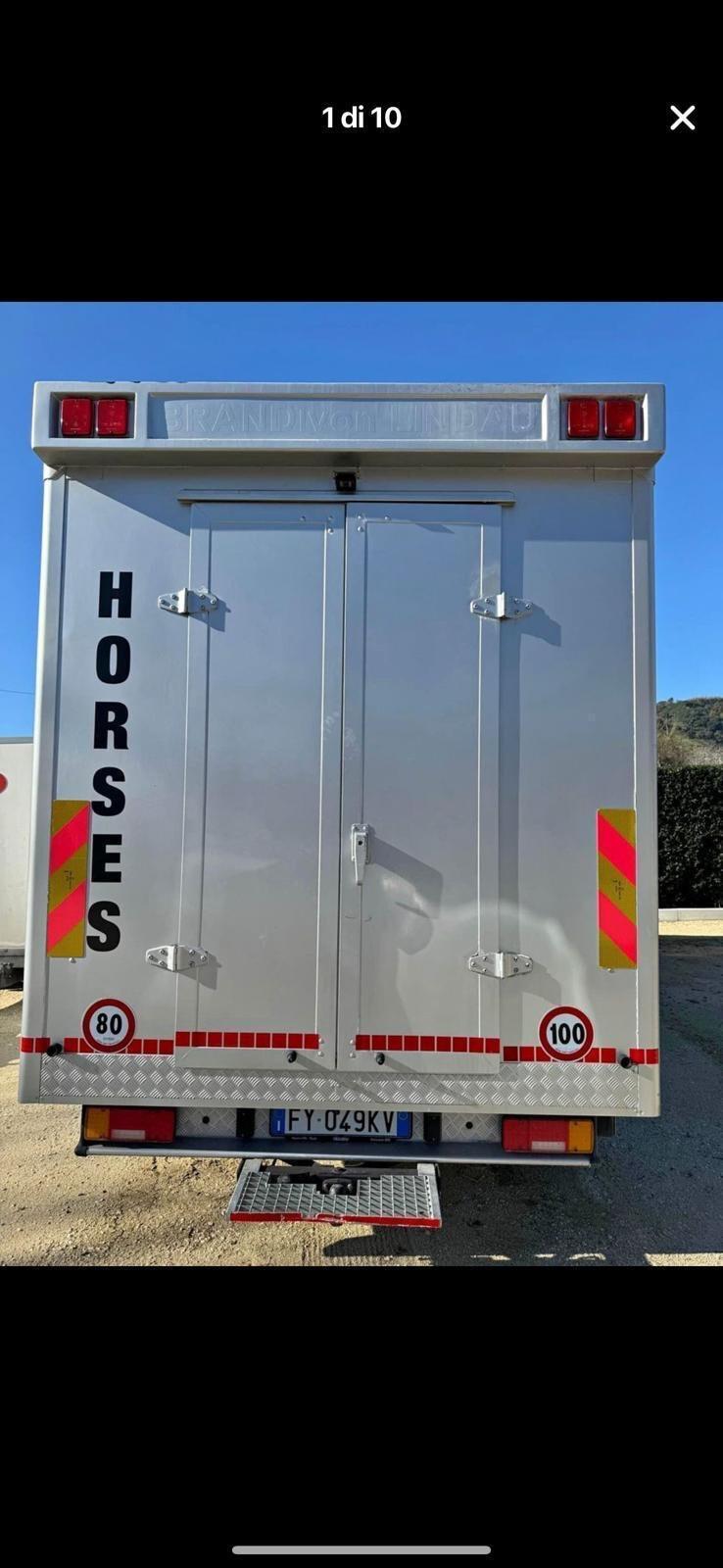 Iveco Daily 50 C11 trasporto per 3 cavalli patente B