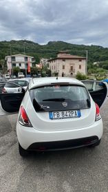 Lancia Ypsilon 1.2 69 CV 5 porte Elefantino