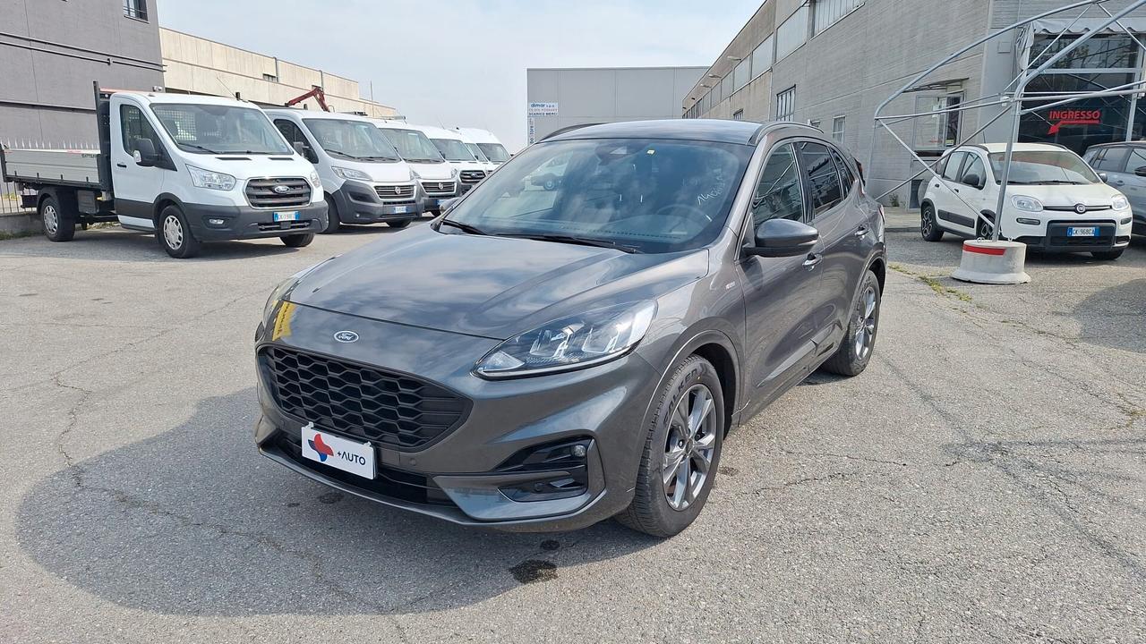 Ford Kuga 1.5 EcoBlue 120 CV 2WD ST-Line