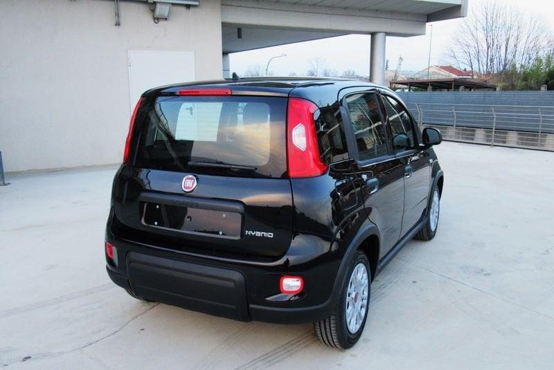 FIAT Panda 1.0 FireFly S&S Hybrid con BONUS EASY GO'