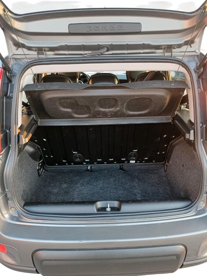 FIAT Panda 3ª serie Panda 1.0 FireFly S&S Hybr...