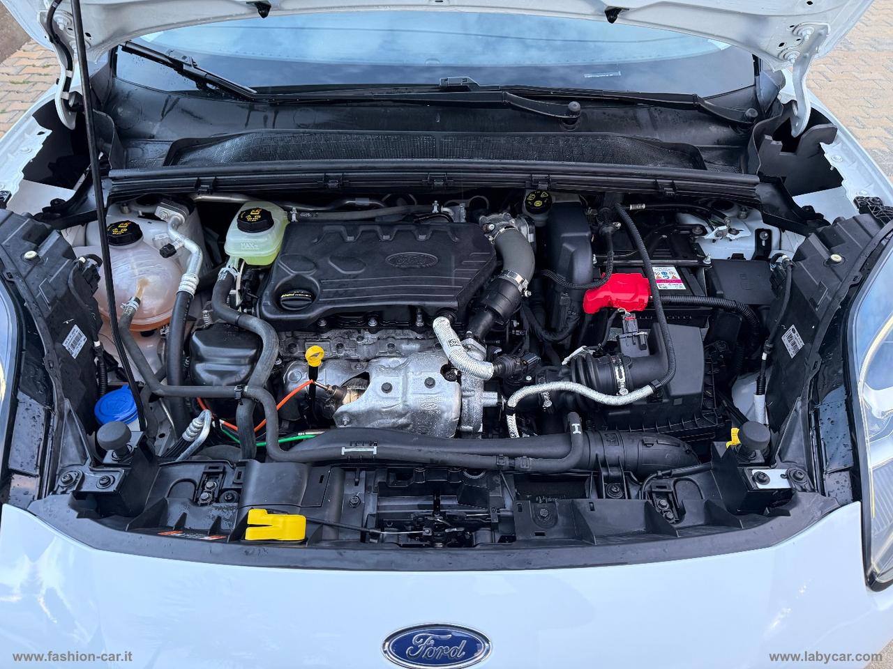 FORD Puma 1.5 EcoBlue 120CV S&S Titanium