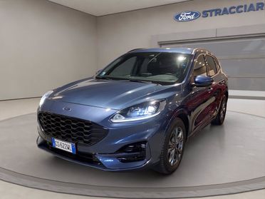 FORD Kuga 2.0 ecoblue ST-Line 2wd 120cv auto del 2024