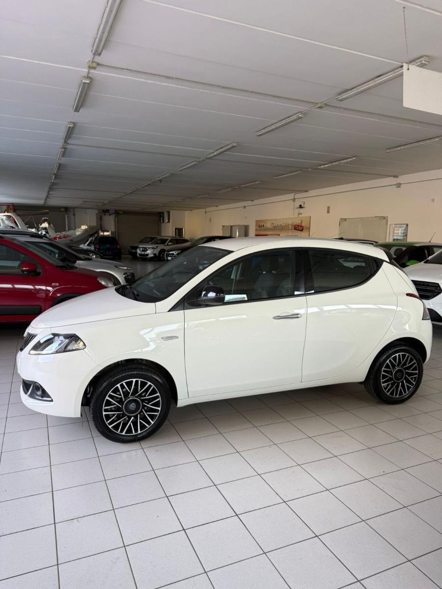 LANCIA - Ypsilon - 1.0 FireFly 5p.S&S Hyb. Platino