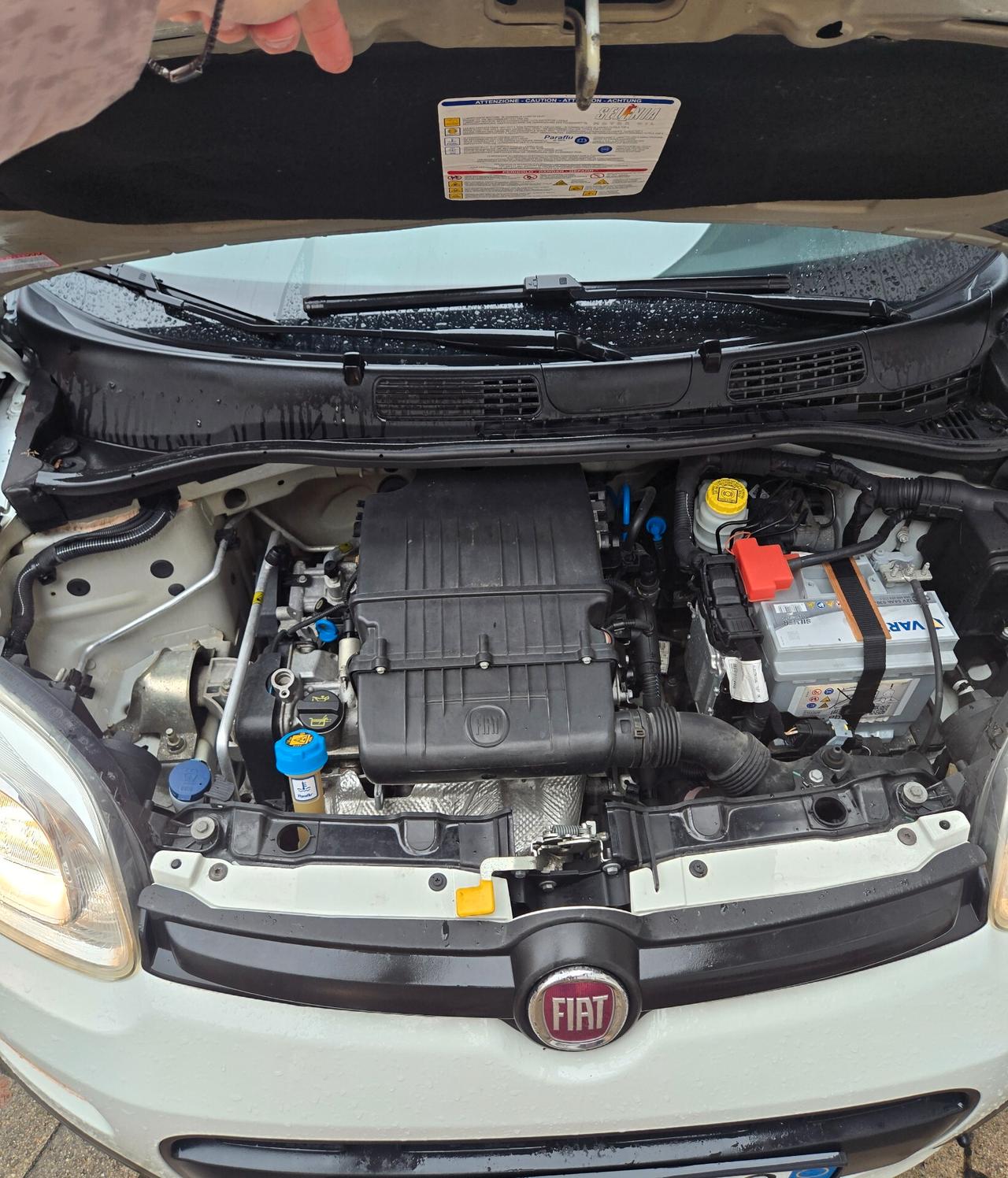 Fiat Panda 1.2 69cv Benzina