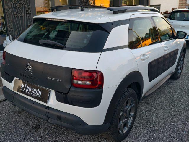 CITROEN C4 Cactus BlueHDi 100 Shine