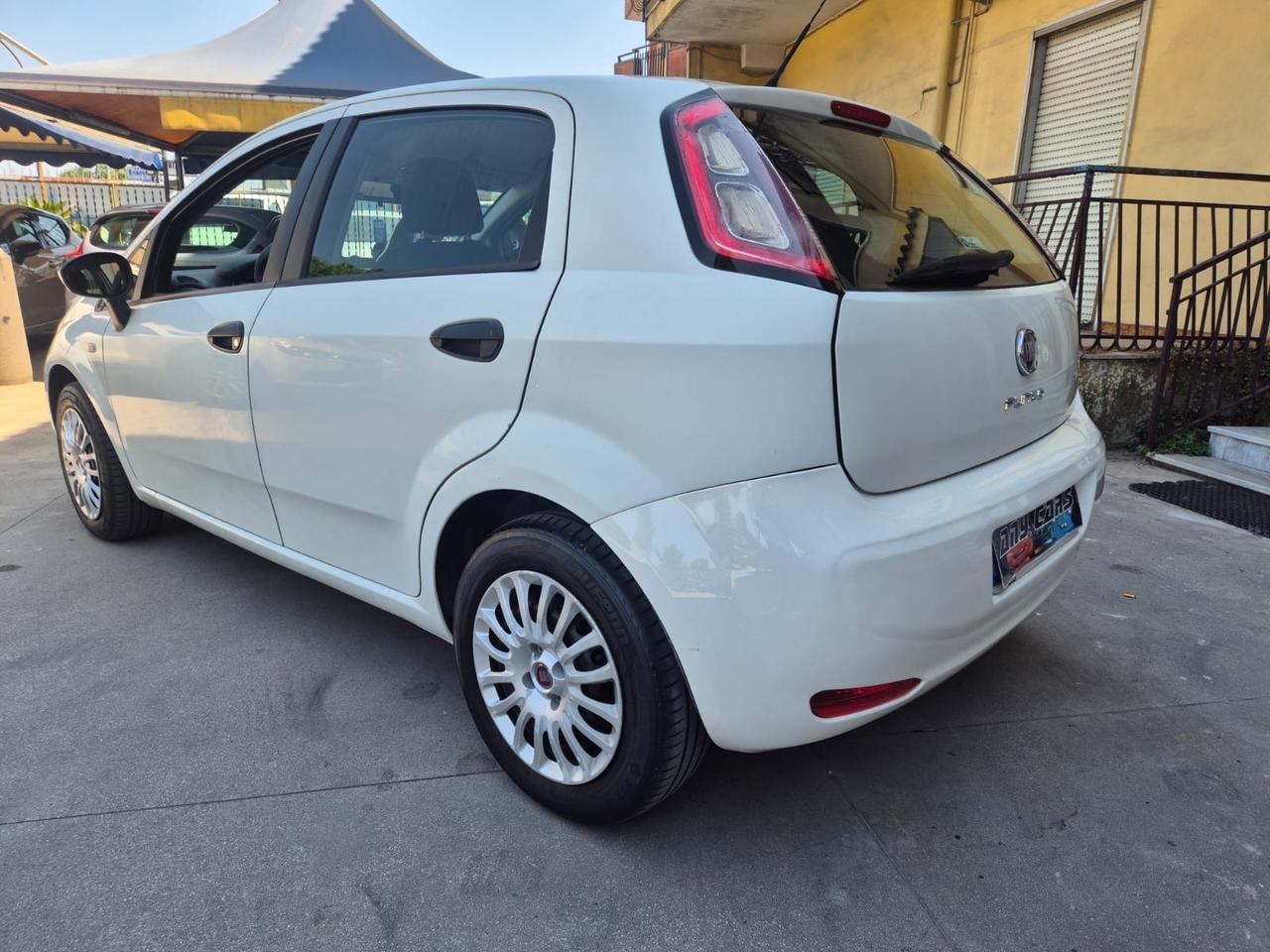Fiat Punto 1.2 8V 5 porte Street 2014 euro6