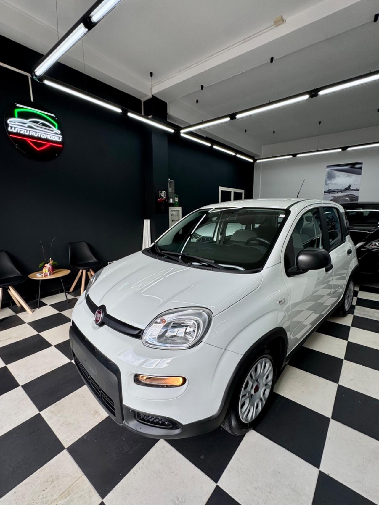 Fiat Panda 1.0 Hybrid City Life FINANZIABILE