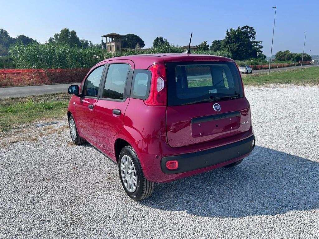 FIAT Panda My25 1.0 70cv Hybrid Panda