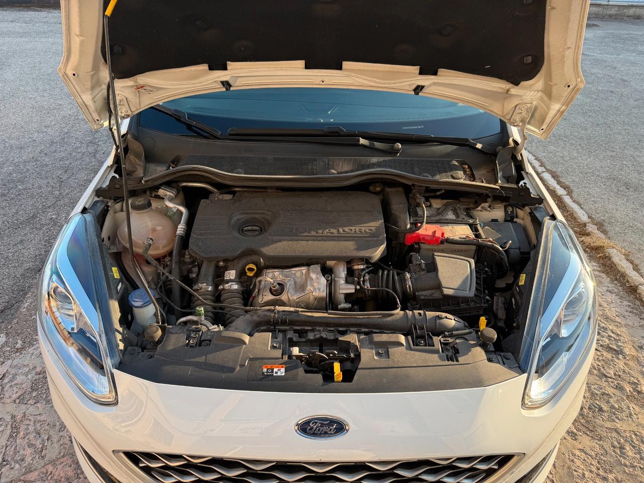 Ford Fiesta 1.5 TDCi 5 porte Vignale