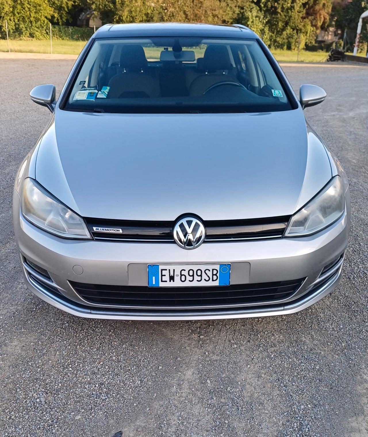 Volkswagen Golf 1.4 TGI 5p. Highline BlueMotion